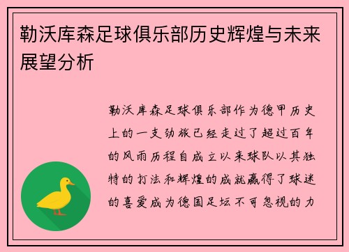 勒沃库森足球俱乐部历史辉煌与未来展望分析