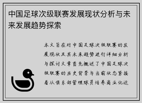 中国足球次级联赛发展现状分析与未来发展趋势探索