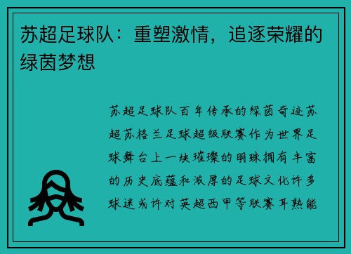 苏超足球队：重塑激情，追逐荣耀的绿茵梦想