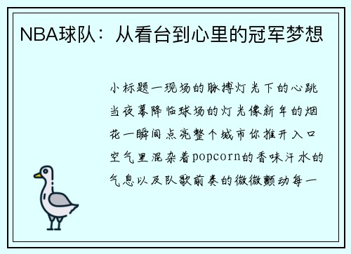 NBA球队：从看台到心里的冠军梦想