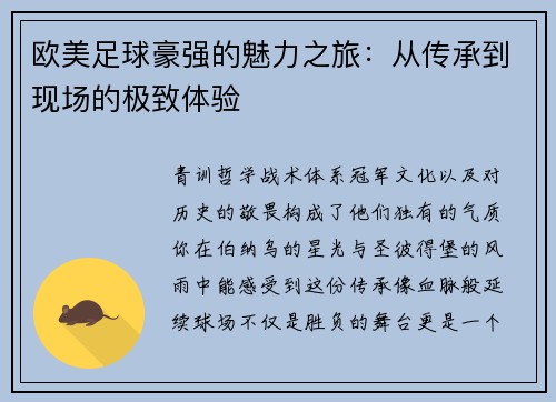 欧美足球豪强的魅力之旅：从传承到现场的极致体验